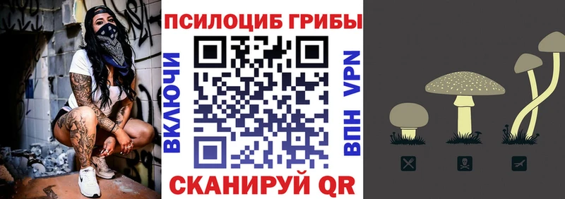Псилоцибиновые грибы Psilocybine cubensis  Яхрома 
